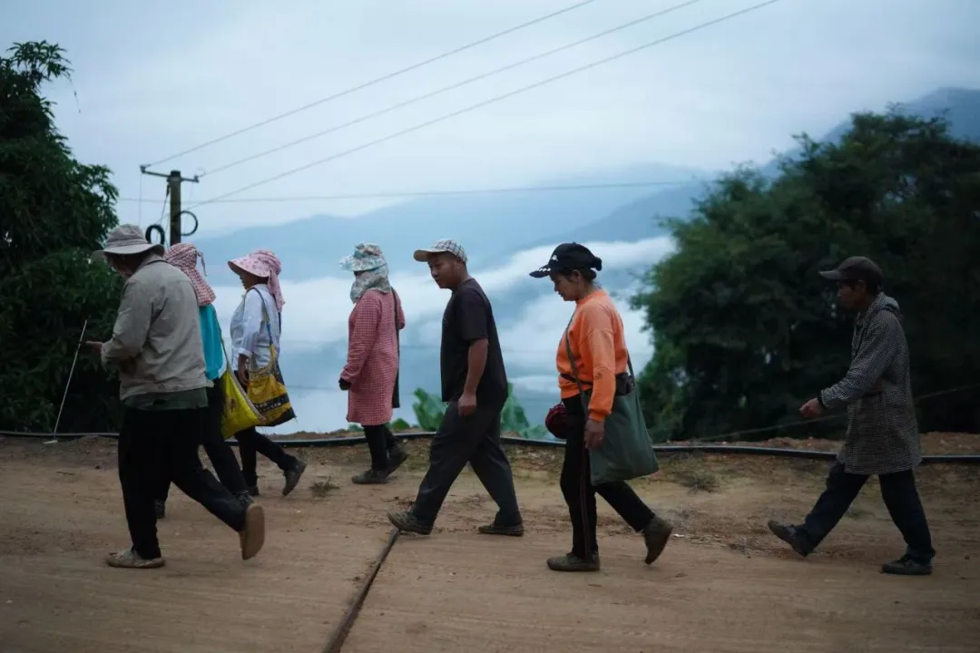 当餐优选生鲜超市深入哀牢山,翻山越岭只为“锁”住这口甜
