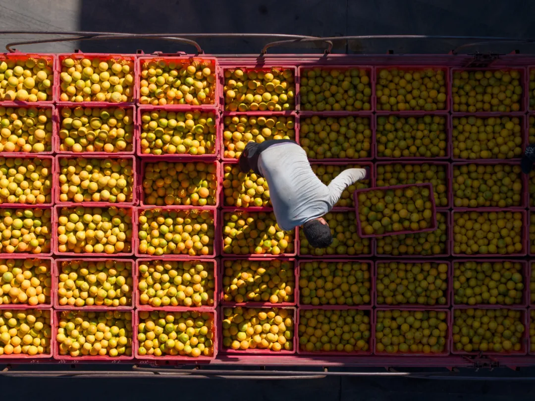 当餐优选生鲜超市深入哀牢山,翻山越岭只为“锁”住这口甜