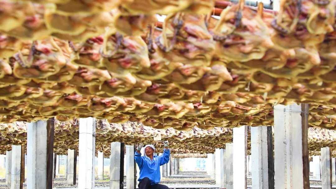 仲冬大余500 年南安板鸭,从美食到富民产业的华丽转身