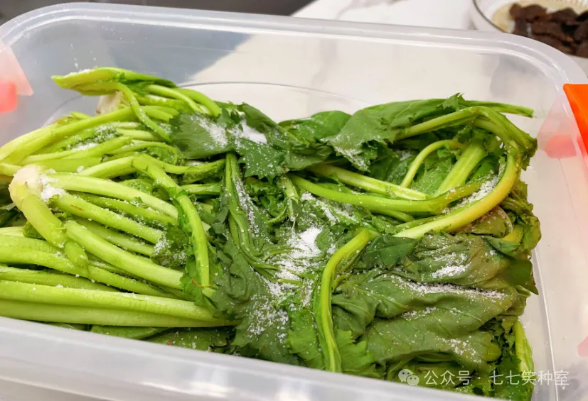 蔬菜吃不完别浪费！3 种有机腌制法，保存半年不变质