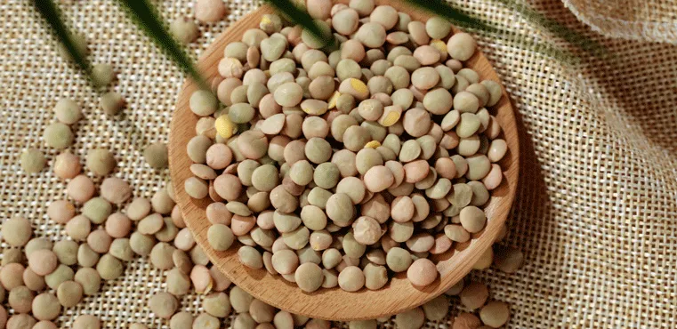 当餐推荐20款素食者补充蛋白质的宝藏食材，材料简单又好吃！