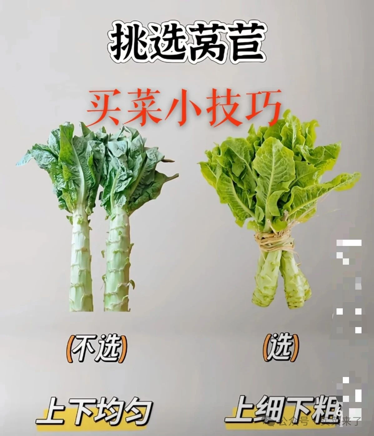 当餐买菜不踩坑！5种家常食材挑选秘籍