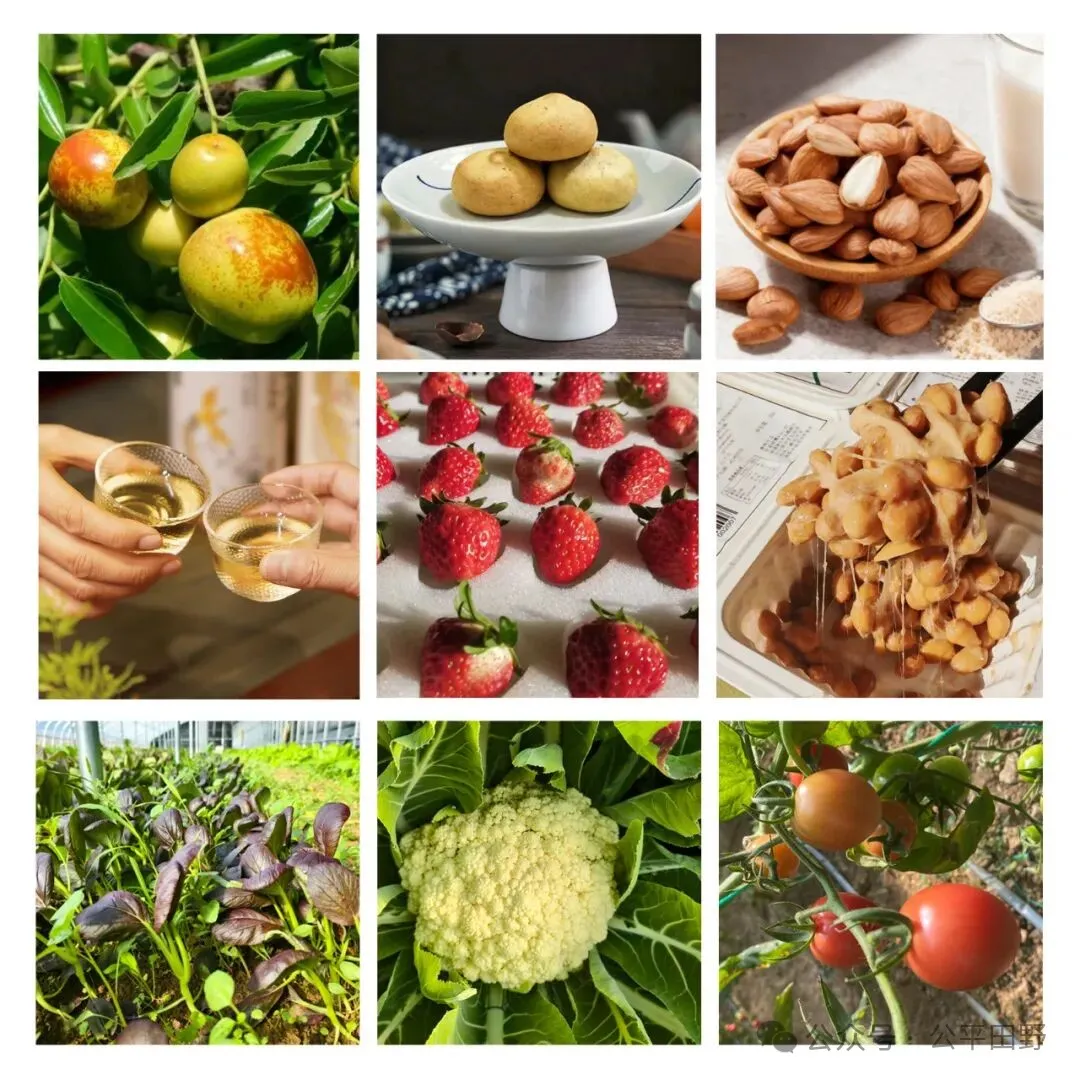 第十六届公平田野CSA生态农业大会餐饮食材及茶歇赞助