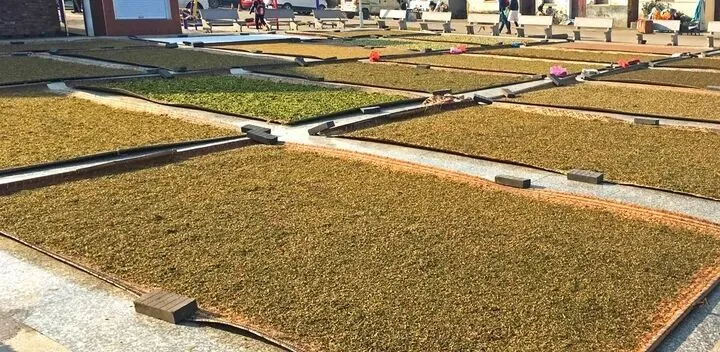 时令食材造就不同季节的金华美味