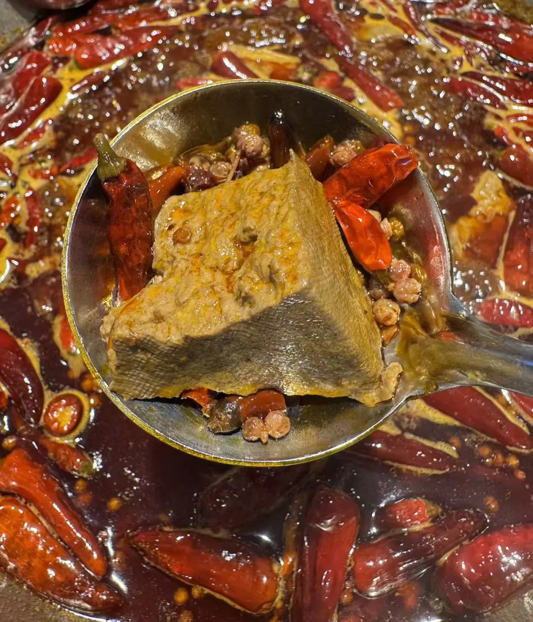 当餐食材推荐这款黑豆腐，能帮你提升食材竞争力！