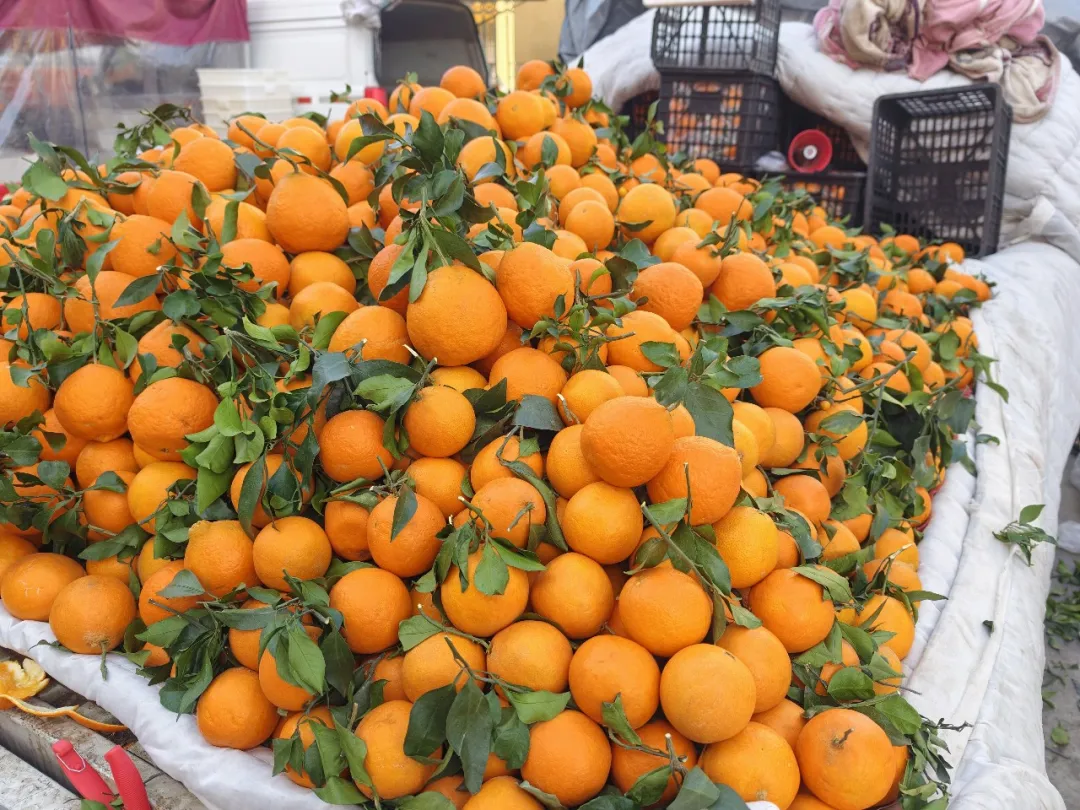 阿拉尔飘在集市里的“生活之味”