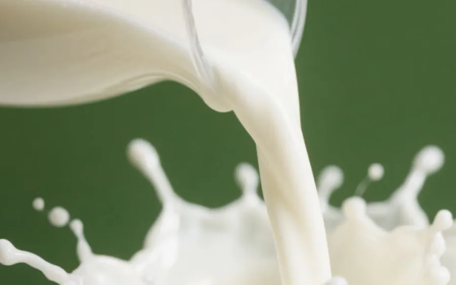 有机鲜奶与普通鲜奶从源头到餐桌的差异大揭秘
