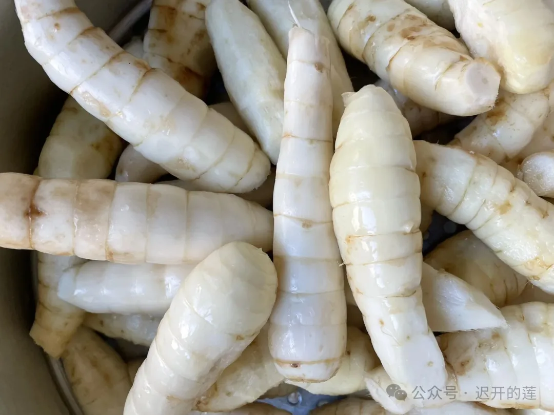 当餐推荐一种来自广西的新食材竹薯