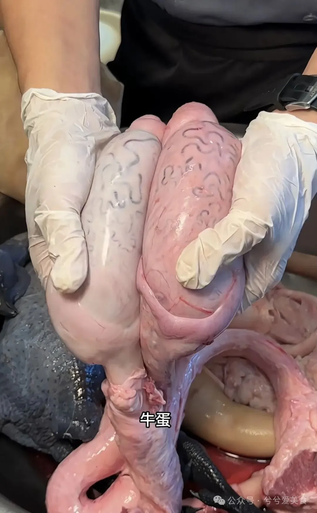 你知道广东人煲汤的食材，能有多离谱吗？