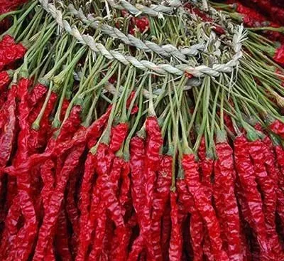 当餐寻味回锅肉、水煮肉片、辣子鸡等味魂的美味密码!