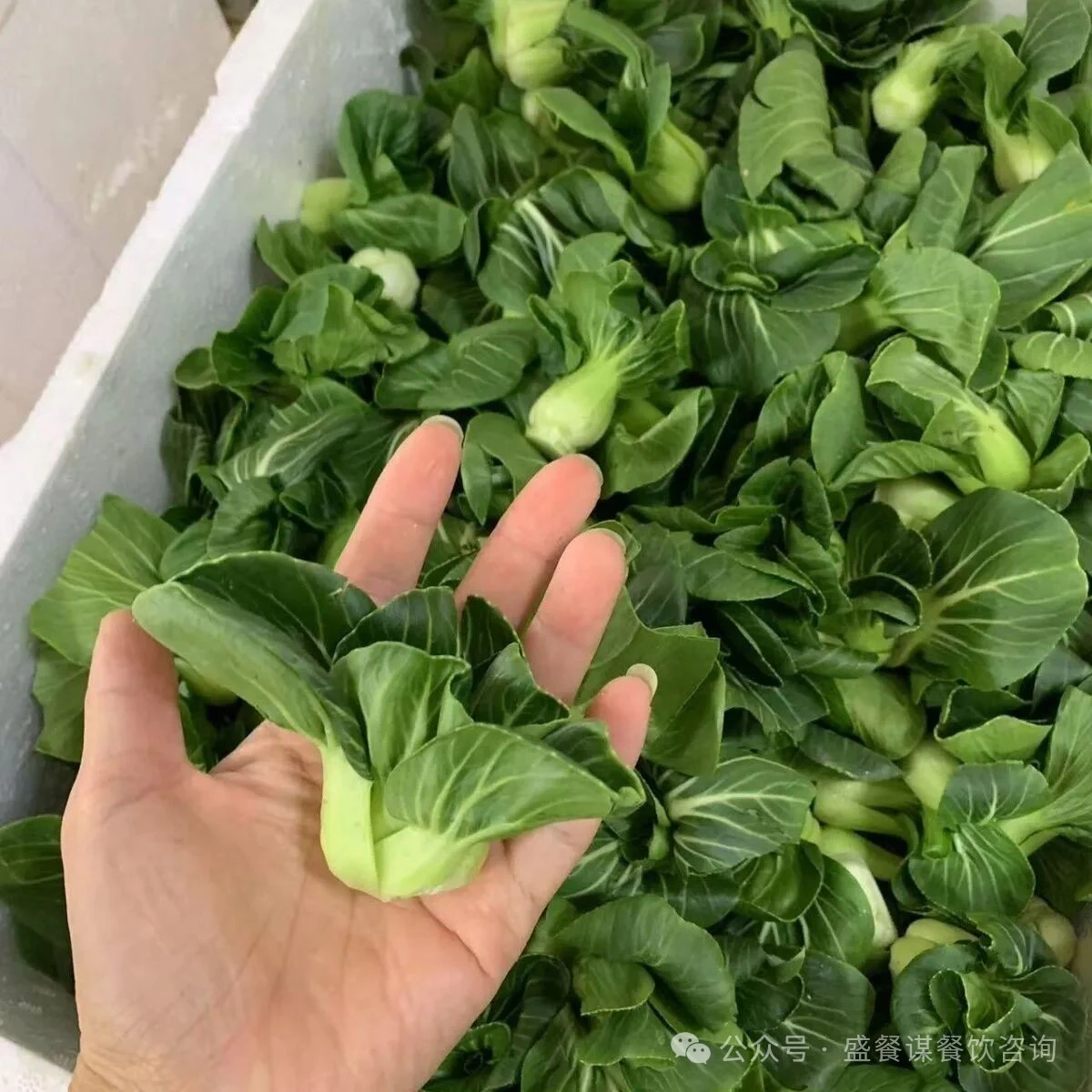 餐饮的本质让食材回归本味，让烹饪忠于自然