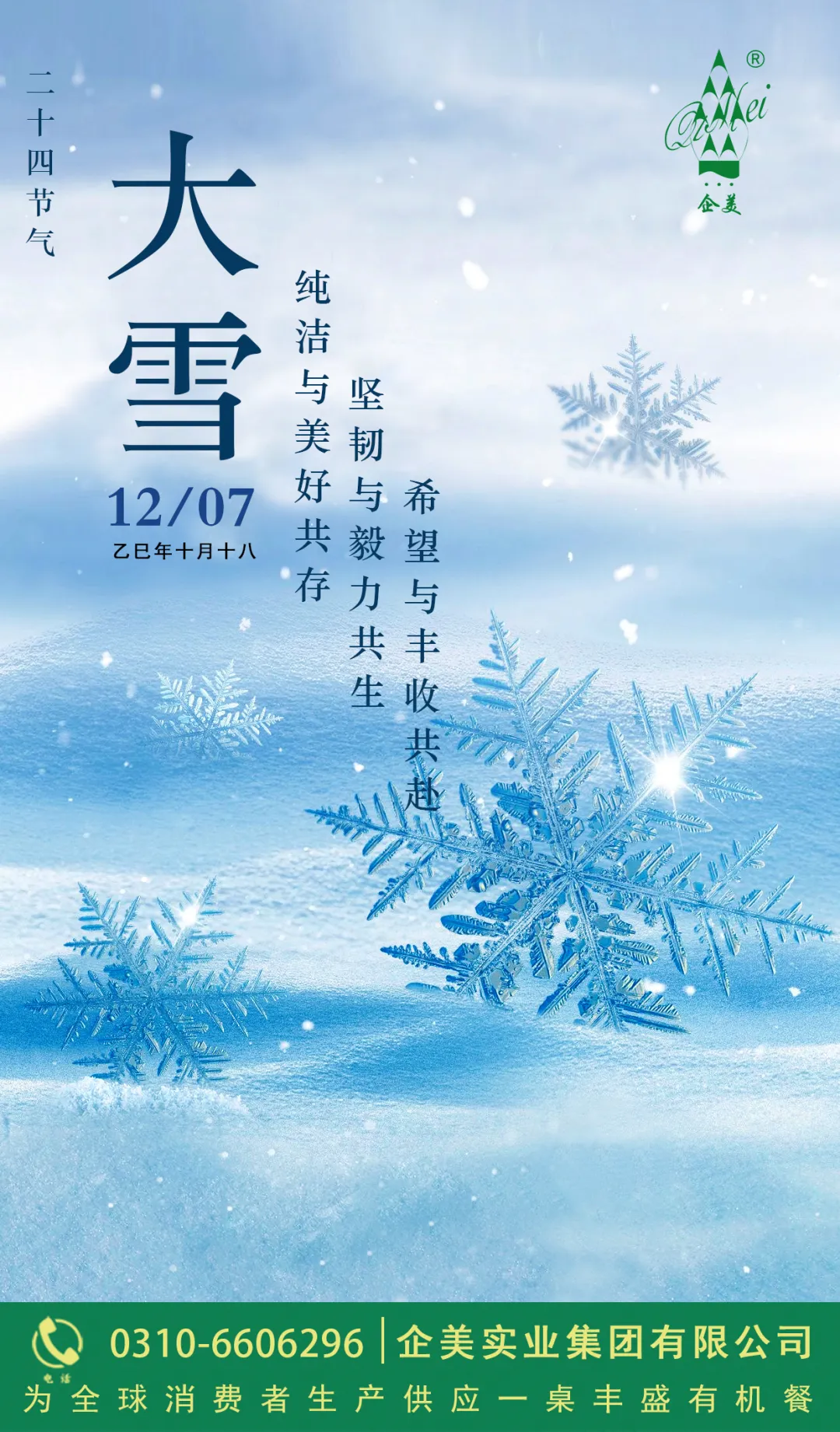 大雪时节 企美有机农场的丰收画卷