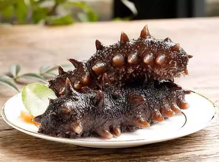 与海参搭配最有营养的食材是什么