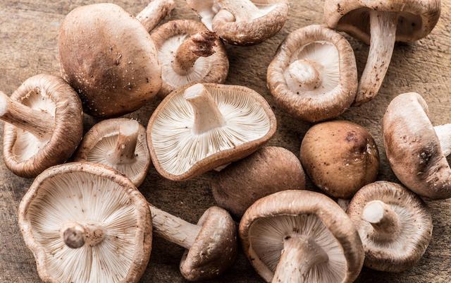 “头碗香菇”素山珍之香菇