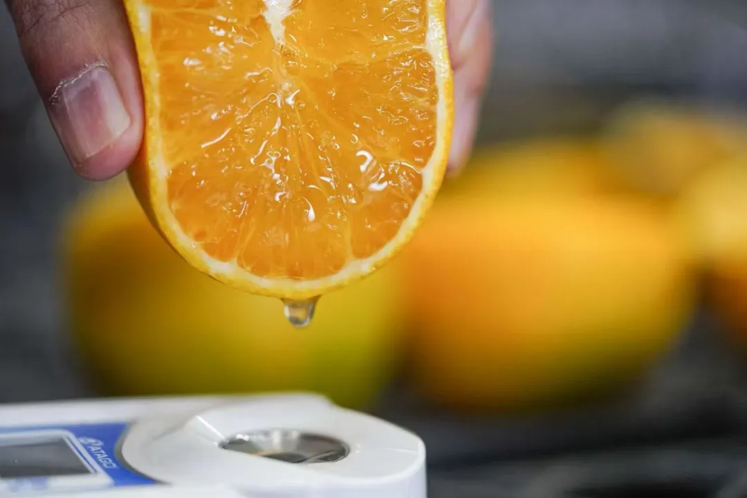 当餐优选生鲜超市深入哀牢山,翻山越岭只为“锁”住这口甜