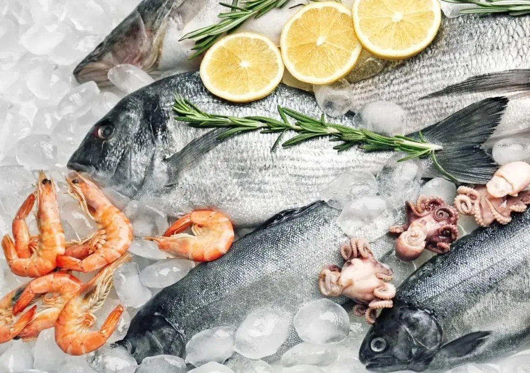 第十九届郑州冷冻冷藏食品博览会