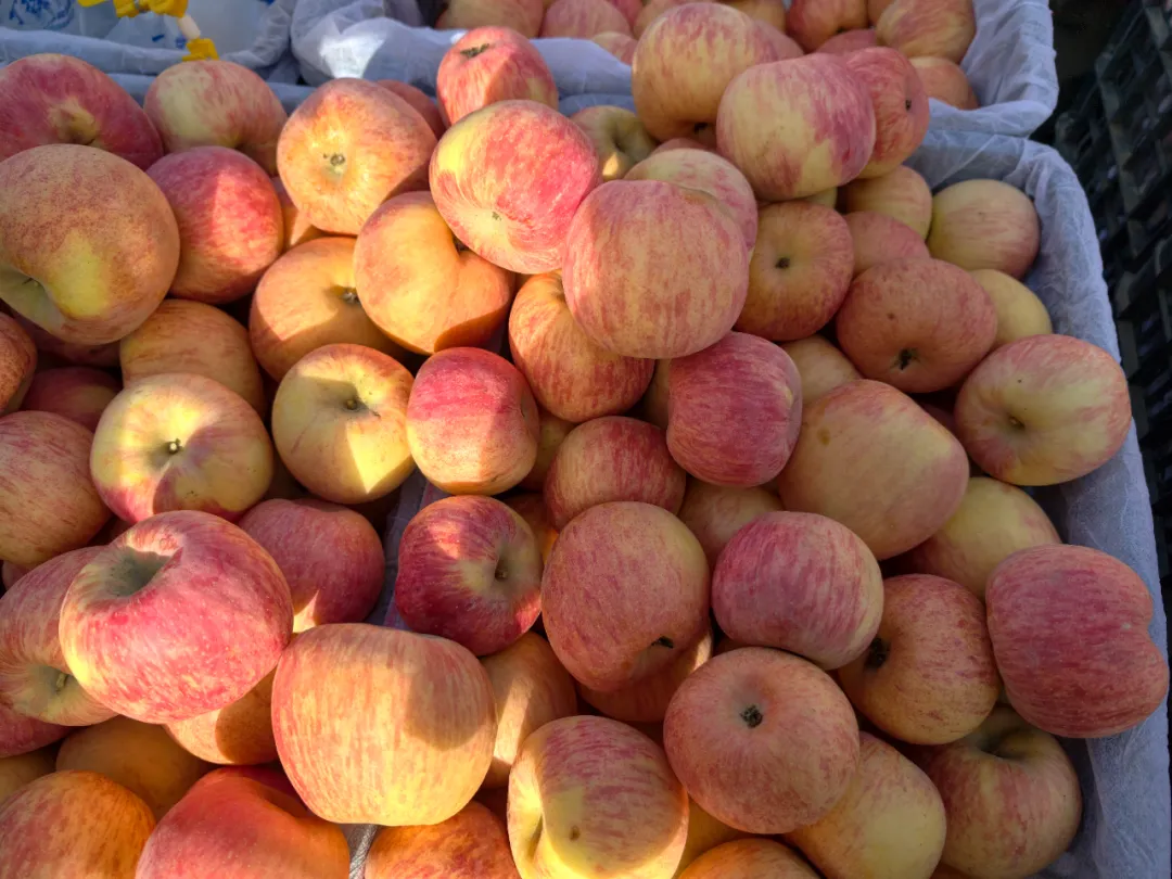 阿拉尔飘在集市里的“生活之味”
