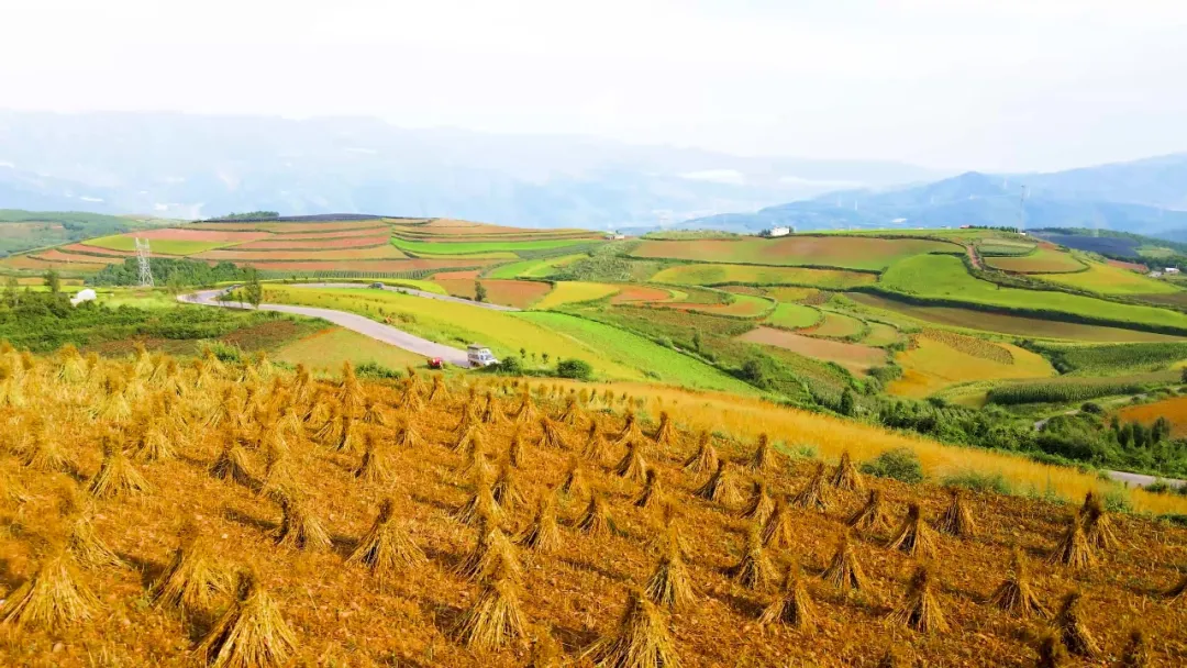 从县域暗流到产业升级三四线城市食品工业的健康浪潮
