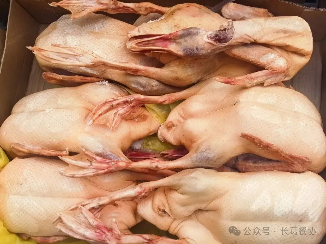 餐饮食材供应链寻找好食材好原料走进河南(开封)嘉旭牧业