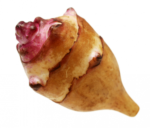 食材也是中药之洋姜