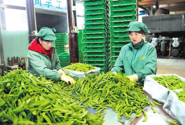 食材配送进入 “智链时代”，当餐优选凭什么领跑？