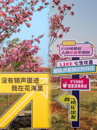 到吴圩,美景美食享不停