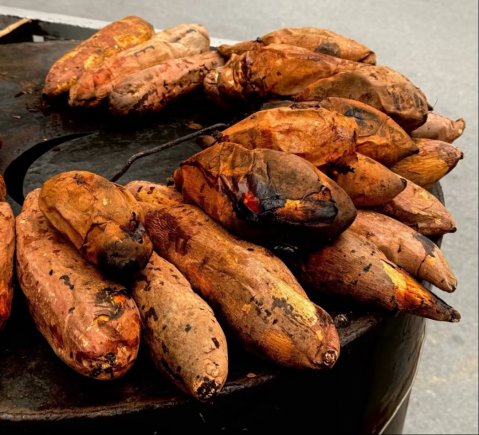 泡暖汤、品美食、享雪趣…承包你一整个冬天的快乐！