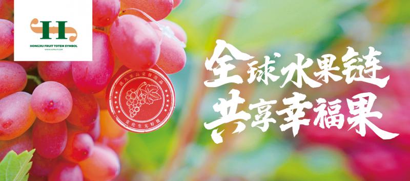 今日当餐食品快报：事关邯郸通报超市、“水果第一股”洪九果品等等