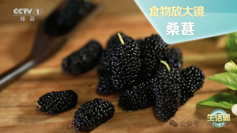 冬季多吃桑葚睡得好、少脱发、不易老