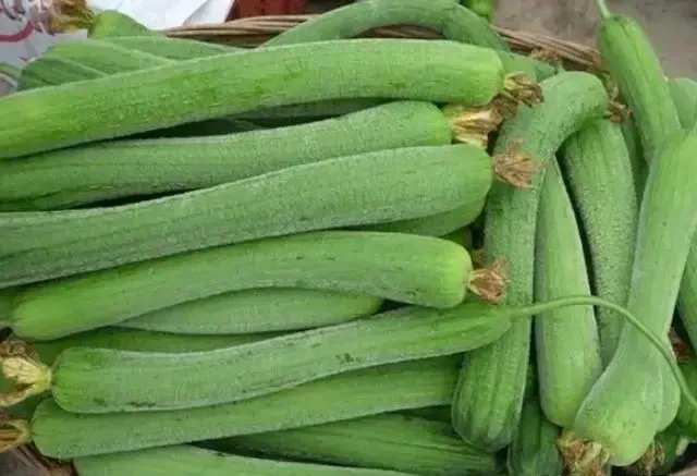 记得常吃4种瓜,低脂低卡,美味营养,常吃身体好