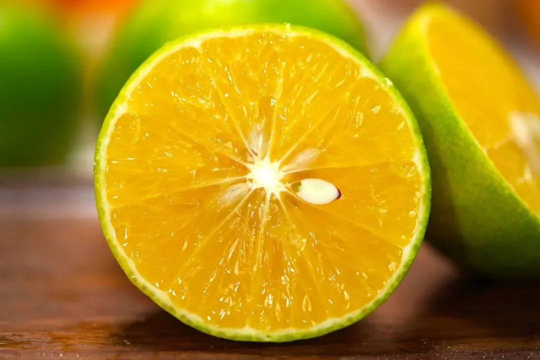 广西武鸣皇帝柑兼具橙子的脆甜清香和橘子的细嫩多汁