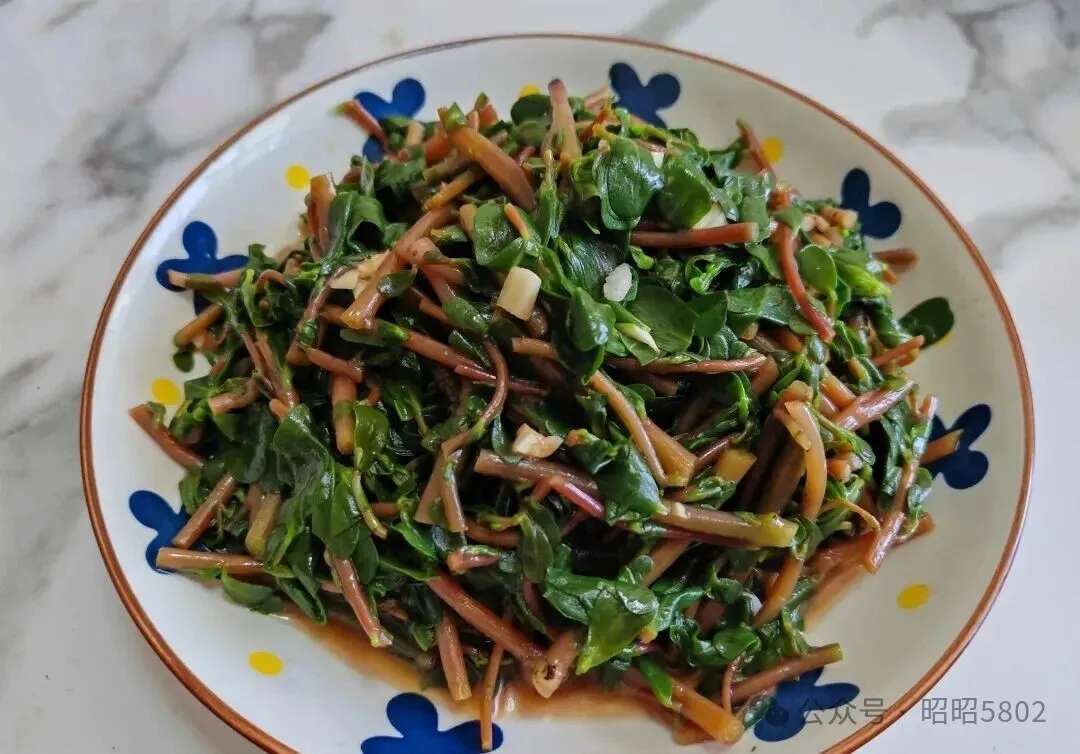 田间地头的野菜，健康又美味！