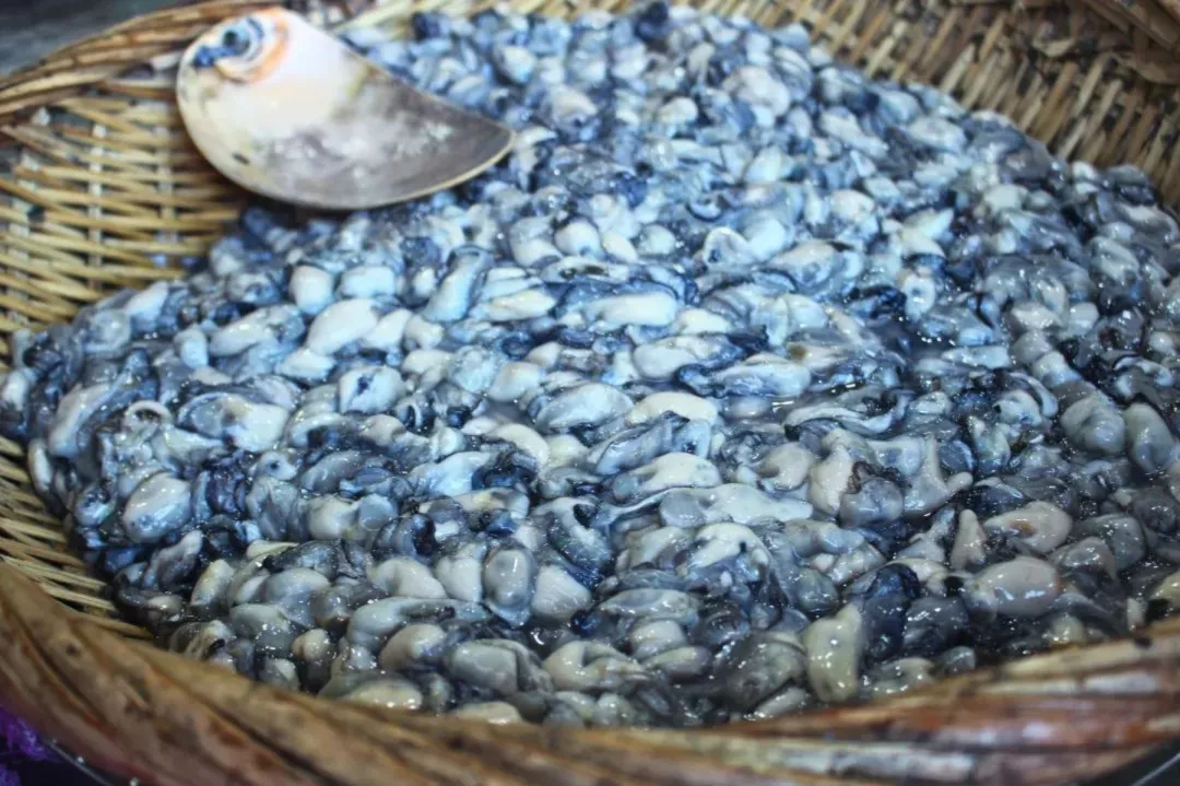 石狮凤里美食福记蠔仔煎