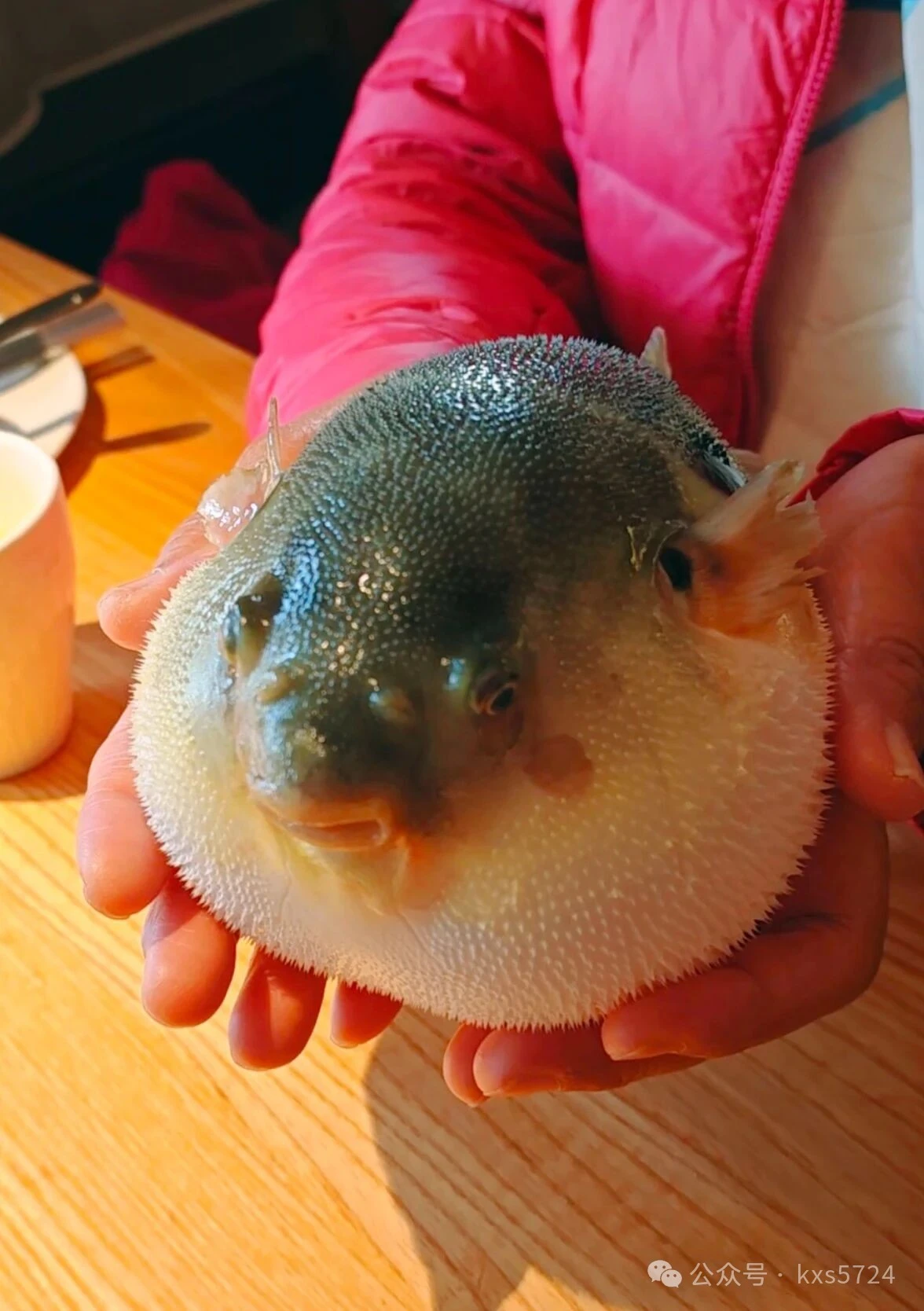 寻味镇江鲜香锅盖面