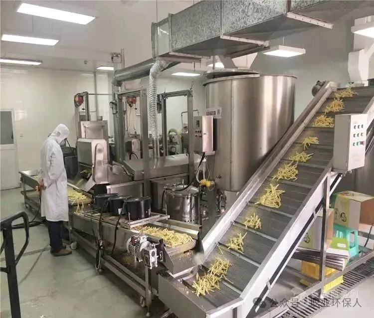 油炸类食品生产企业如何做到达标排放