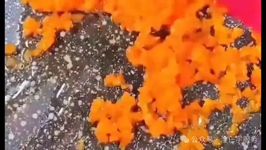 美味盖浇饭！肉肉和蔬菜的完美结合，每一口都是幸福的味道！