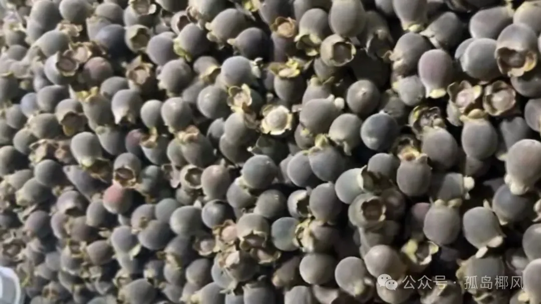 乡村山珍食材山稔