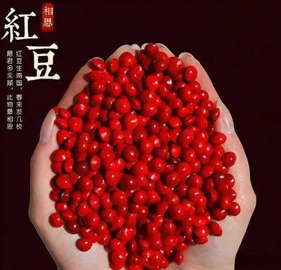 红豆的功效与作用，解决日常小烦恼的常见食材