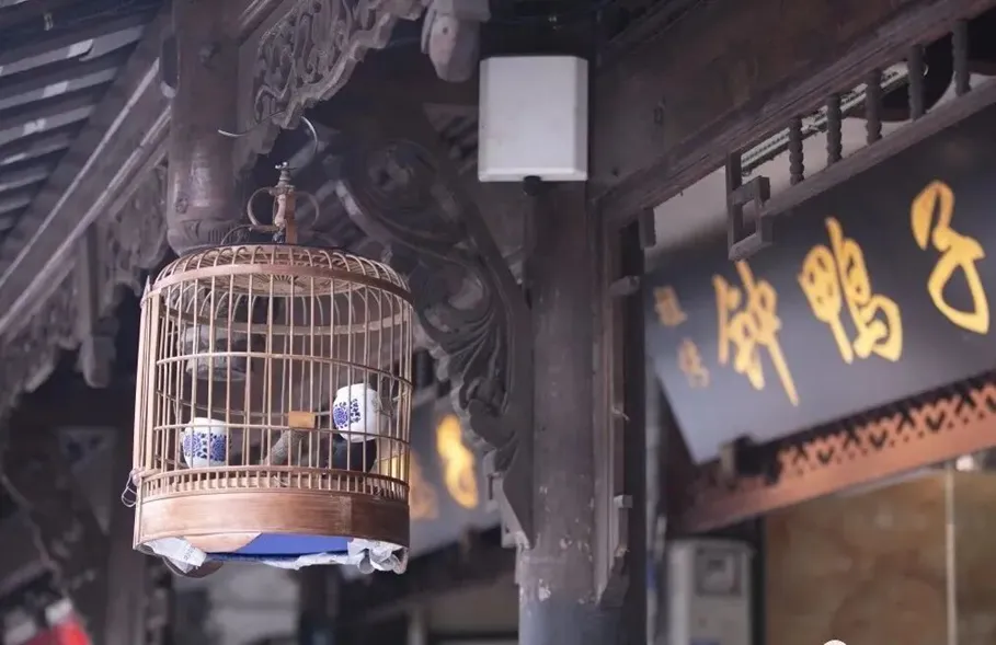 天府珍水育珍馐！都江堰餐饮新动态：钟鸭子再揽殊荣，尤兔头进驻成都高端商圈！