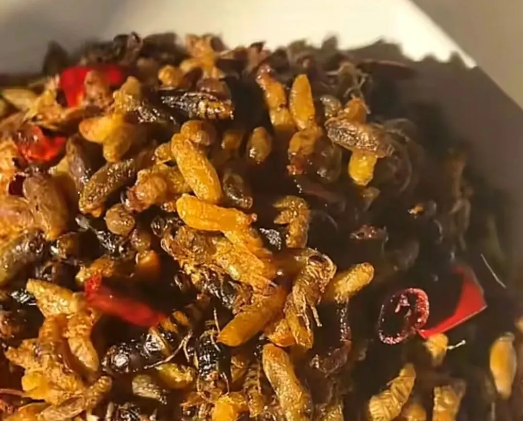 寻味宝峰到小段饭店,吃地道宝峰麻辣鸡与家常老味道