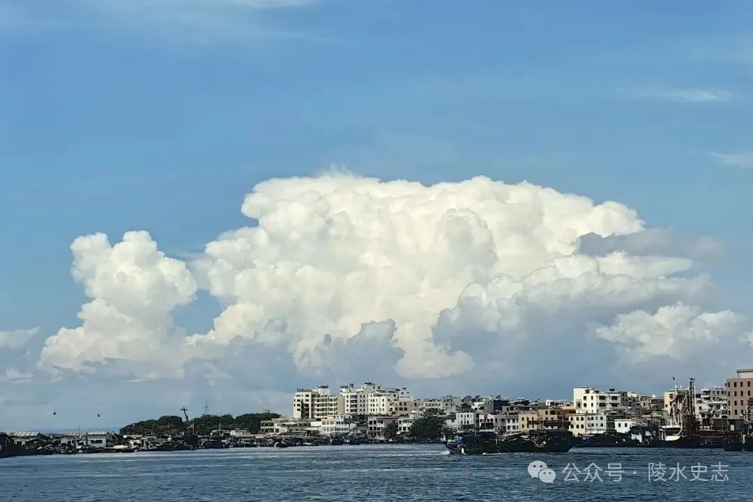 寻味陵水小吃椰丝鱿鱼