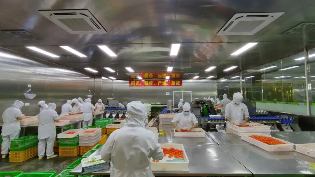 广州回味源蛋类食品有限公司：30年咸蛋黄专精高新技术企业