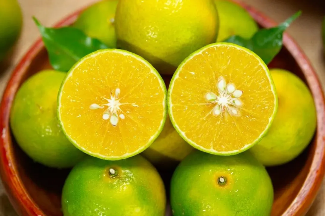 广西武鸣皇帝柑兼具橙子的脆甜清香和橘子的细嫩多汁