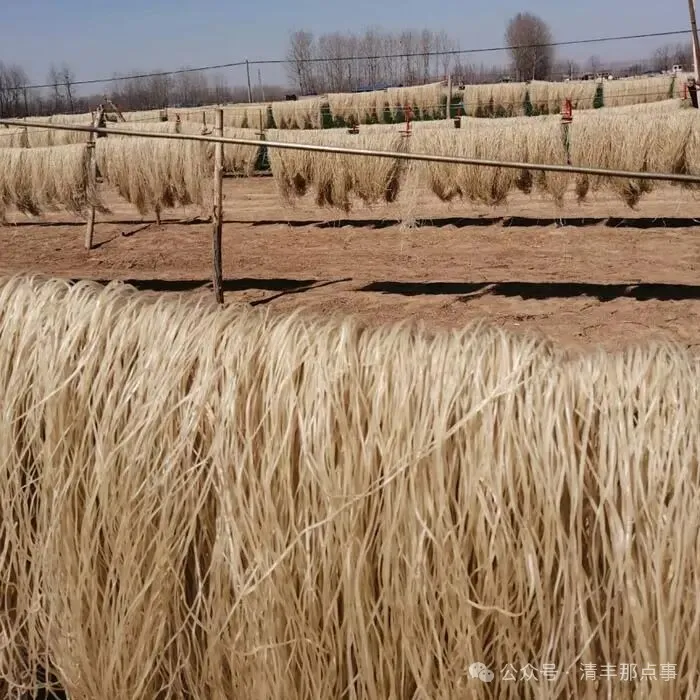 清丰老作坊里的古法粉条，藏着整个冬天的烟火气