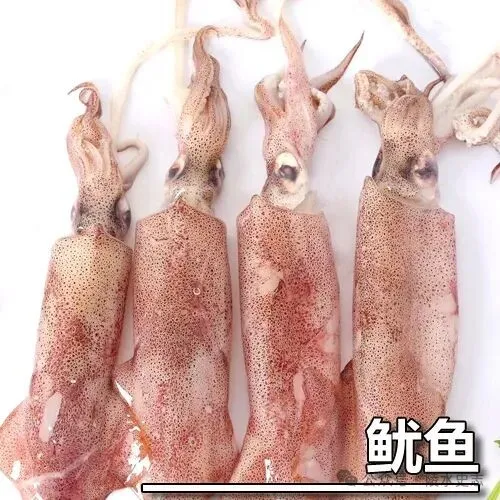 寻味陵水小吃椰丝鱿鱼