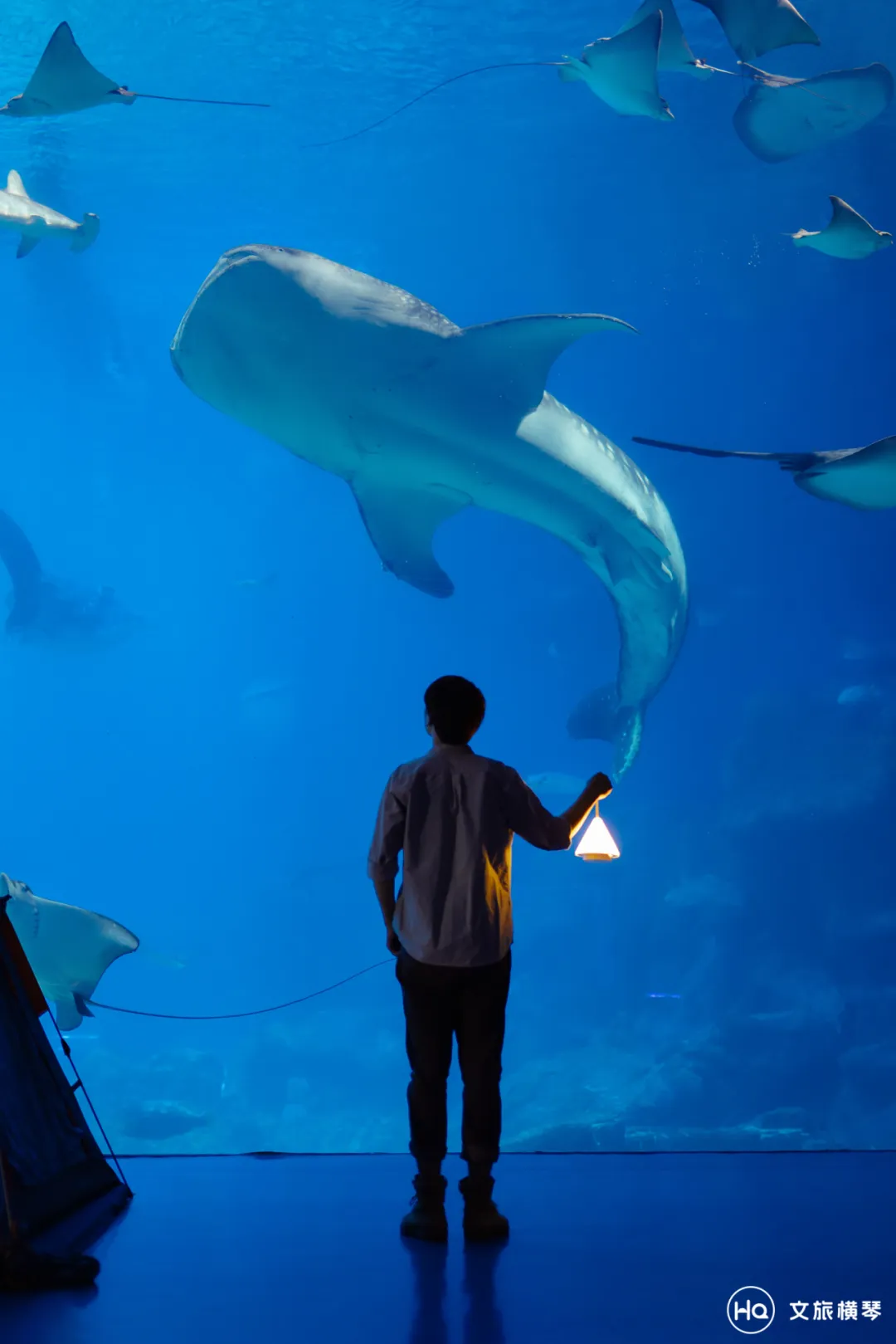 珠海横琴美食:在美食的馨香里,遇见一场南洋旧梦