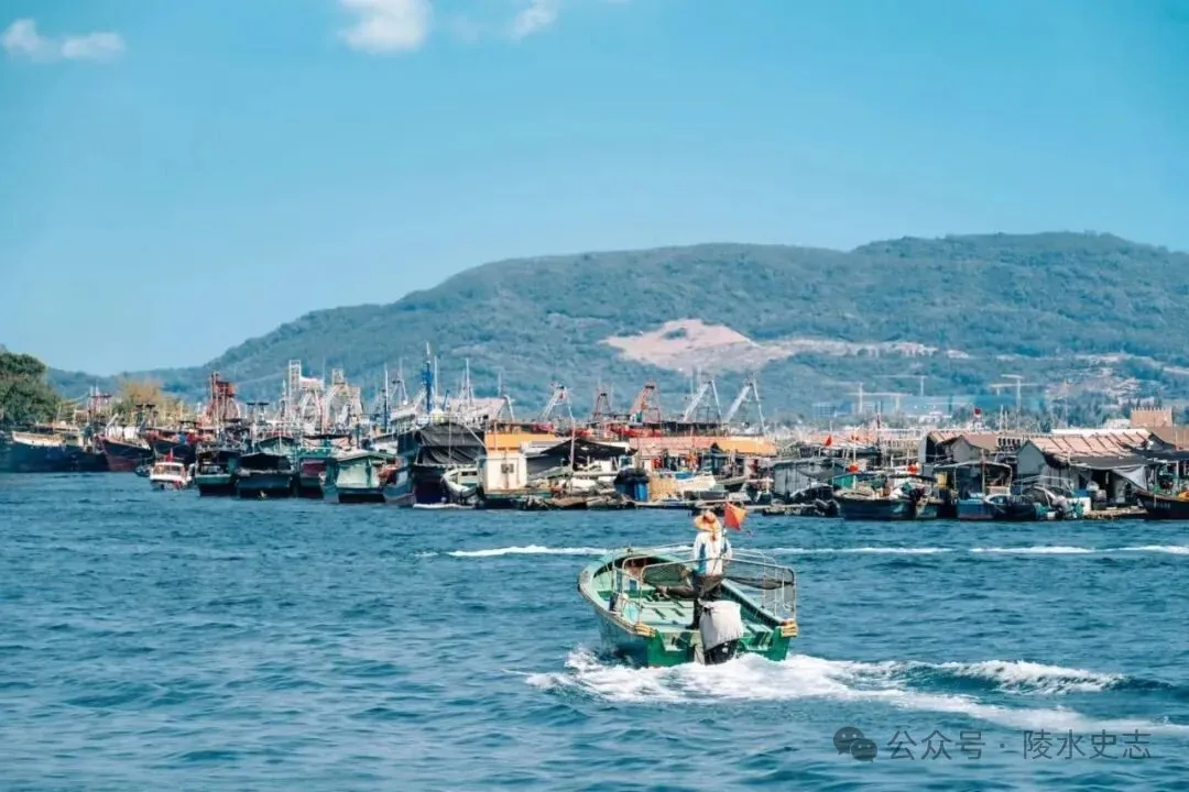 寻味陵水小吃椰丝鱿鱼