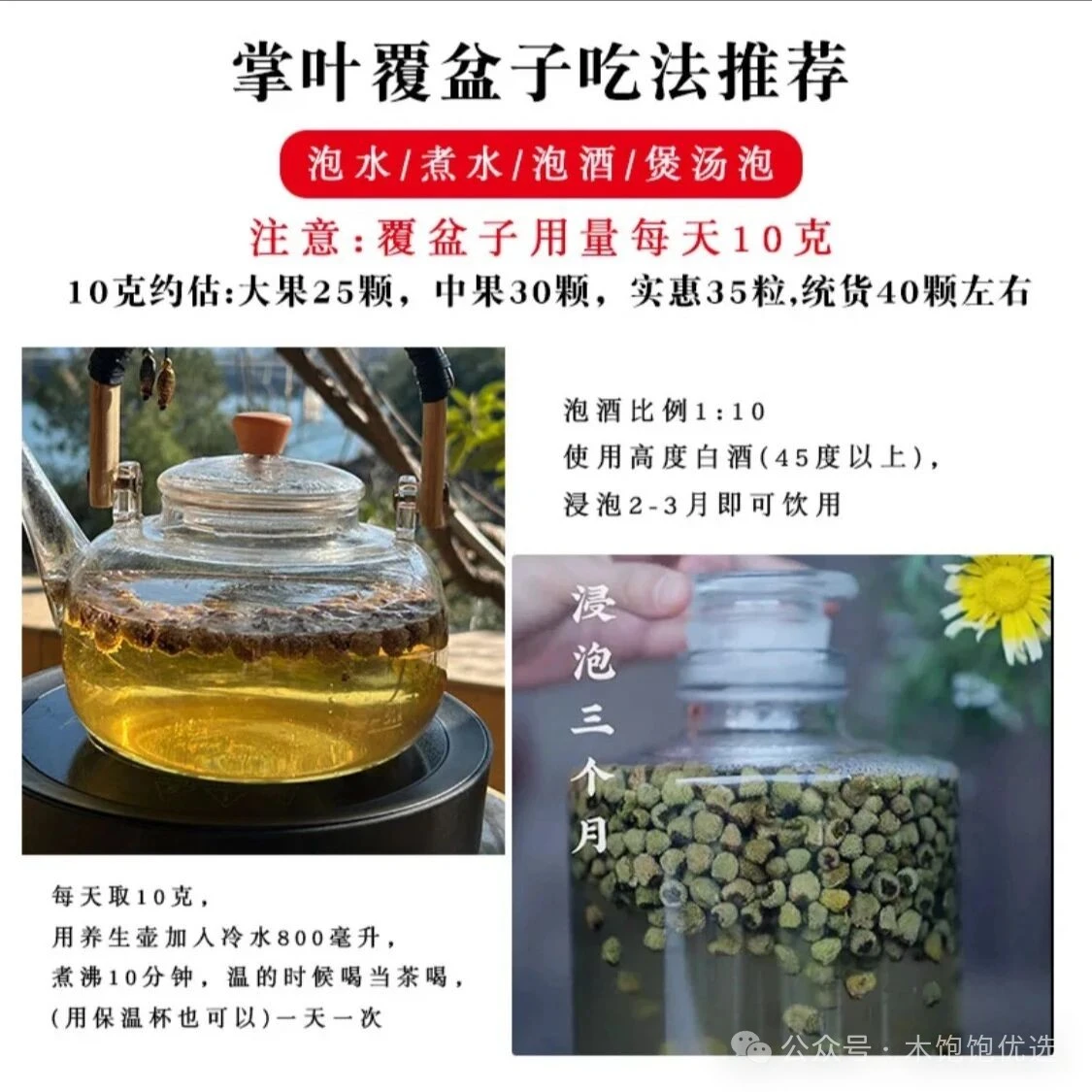 浙江千岛湖掌叶覆盆子解锁江南道地食材的养生密码