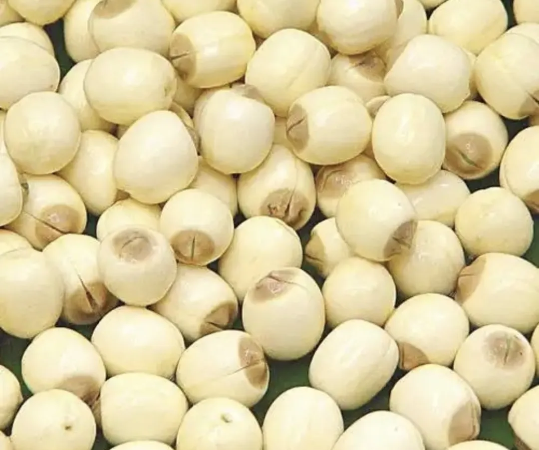 消食止泻、健脾益气的最佳食材八仙廿藕粉