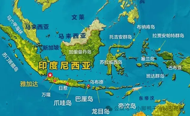 在南宁寻味武鸣华侨农场的宝藏小店美食,遇见舌尖上的千岛之国